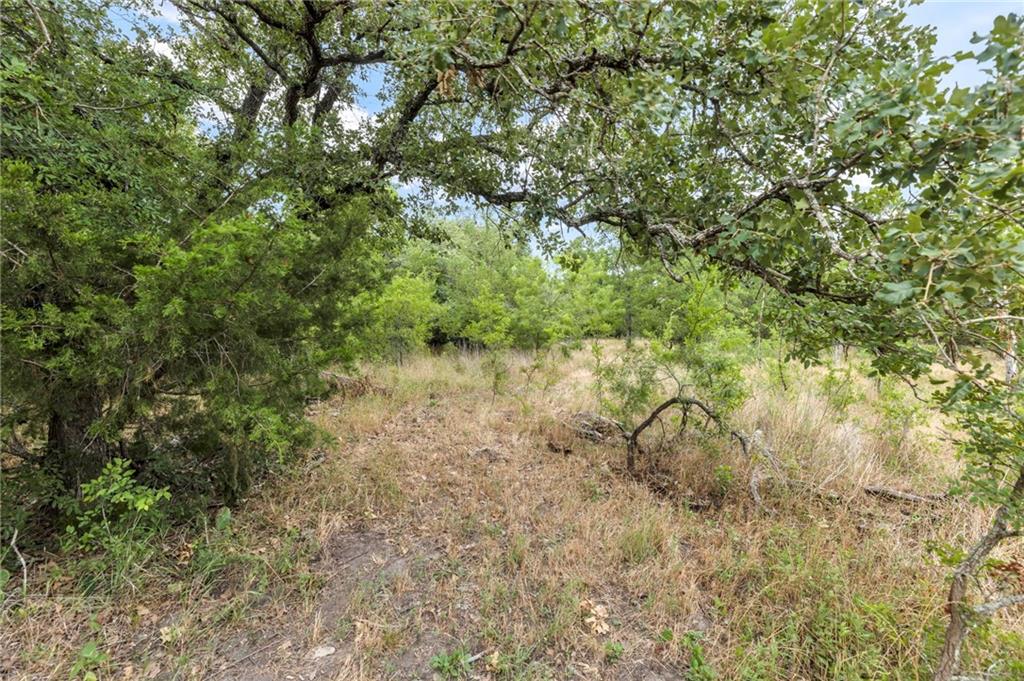 TBD Tract 5 - Hog Eye Rd, Manor, TX 78653