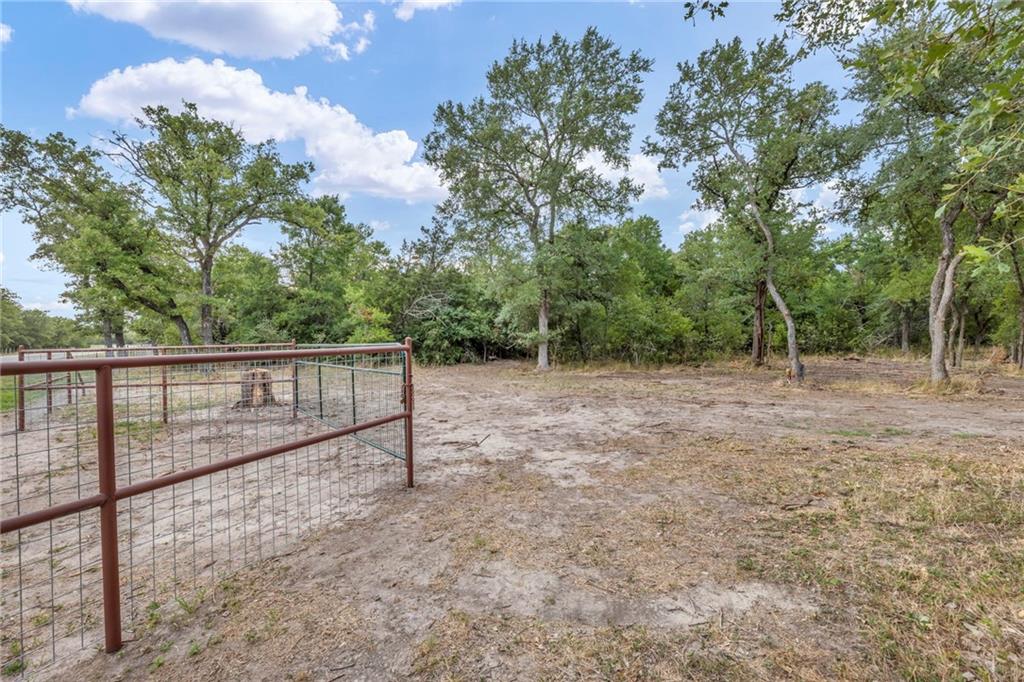 TBD Tract 5 - Hog Eye Rd, Manor, TX 78653