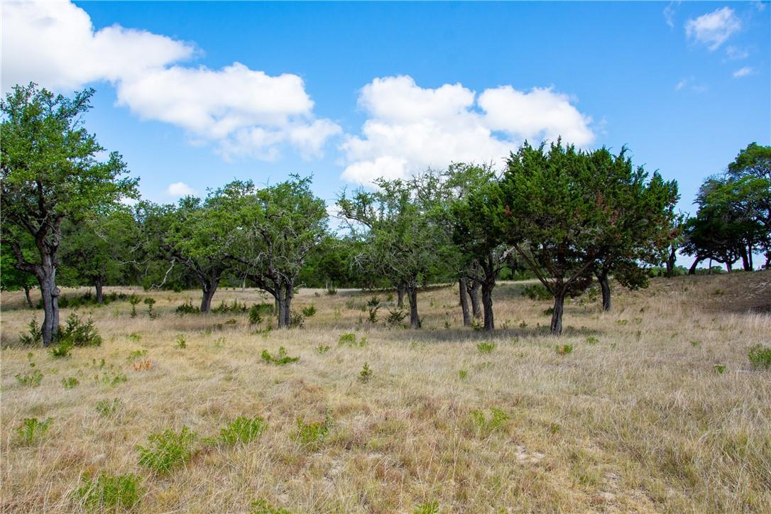 0 Monarch Ranch Rd, Blanco, TX 78606