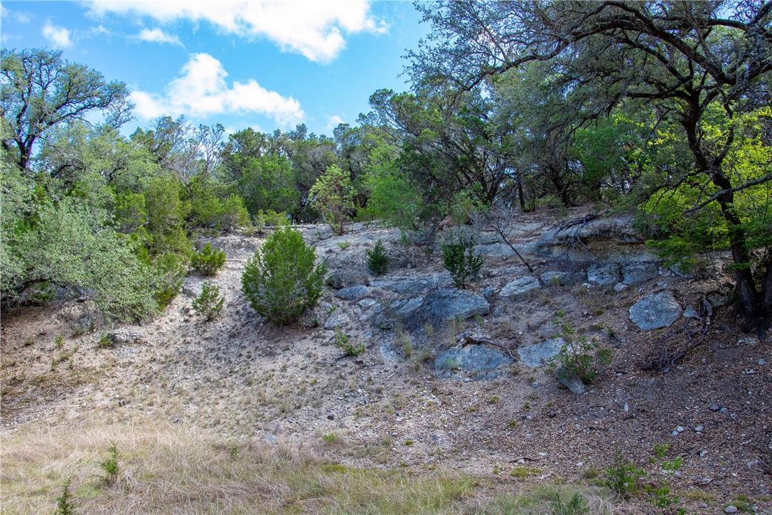 0 Monarch Ranch Rd, Blanco, TX 78606