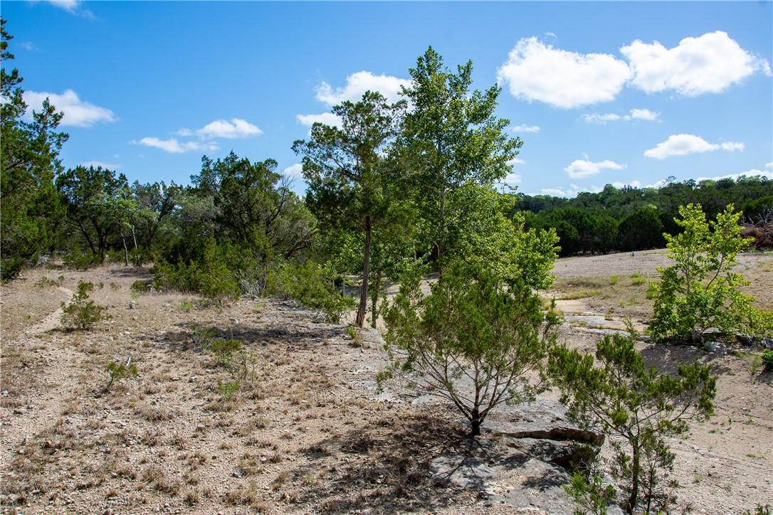 0 Monarch Ranch Rd, Blanco, TX 78606