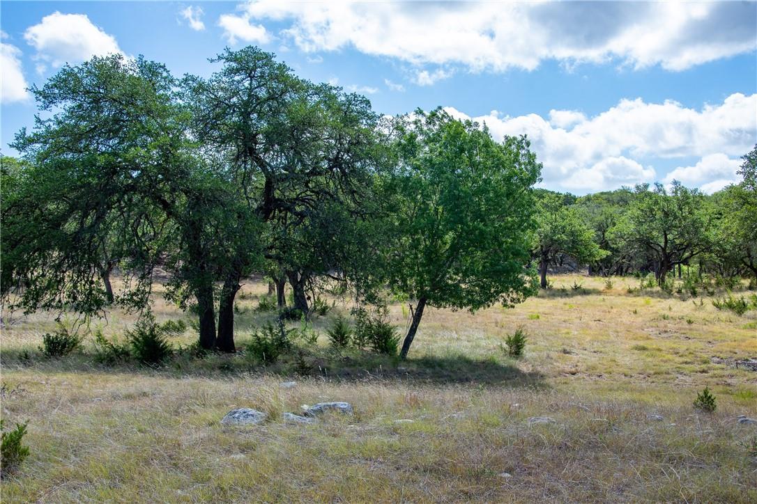 0 Monarch Ranch Rd, Blanco, TX 78606