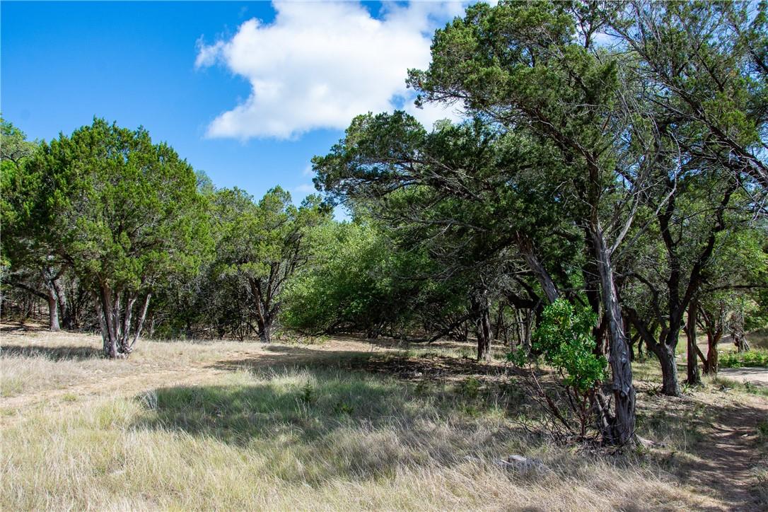 0 Monarch Ranch Rd, Blanco, TX 78606