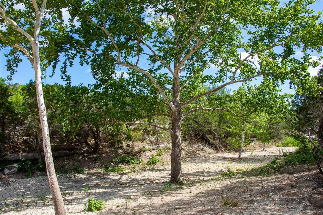 0 Monarch Ranch Rd, Blanco, TX 78606