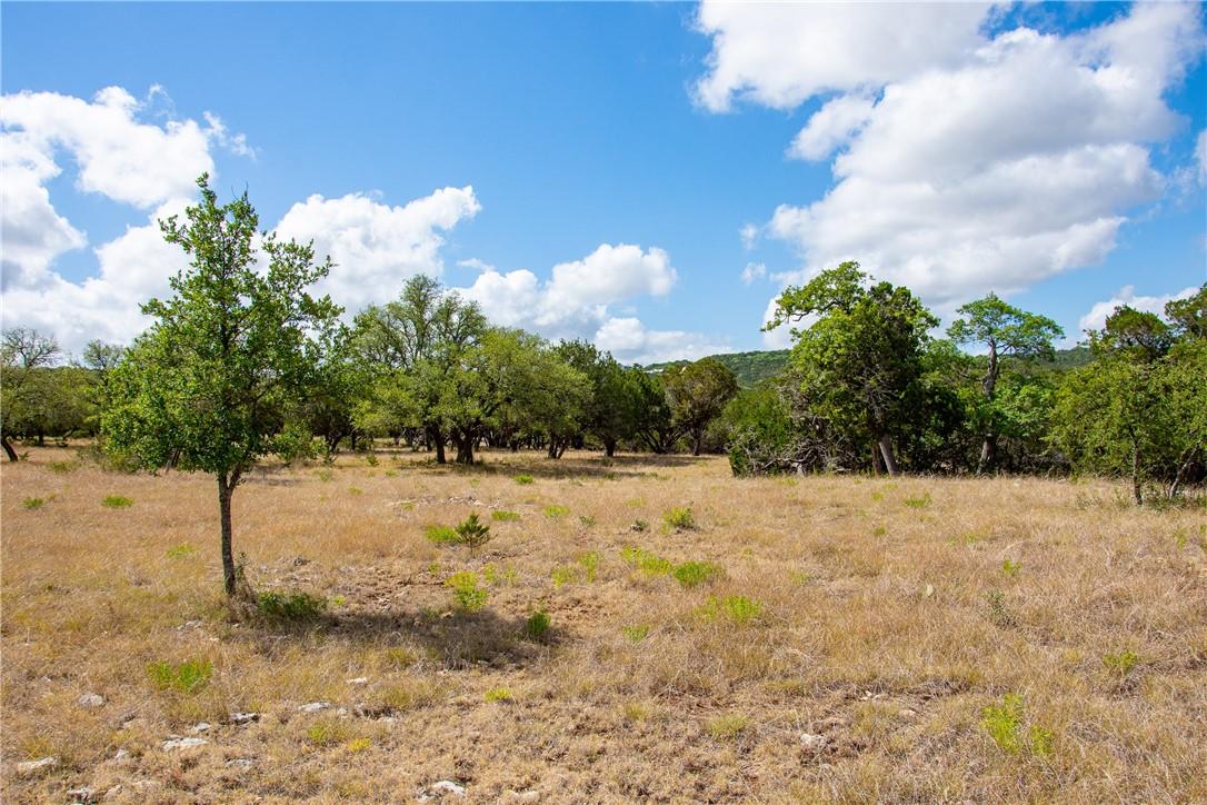 0 Monarch Ranch Rd, Blanco, TX 78606