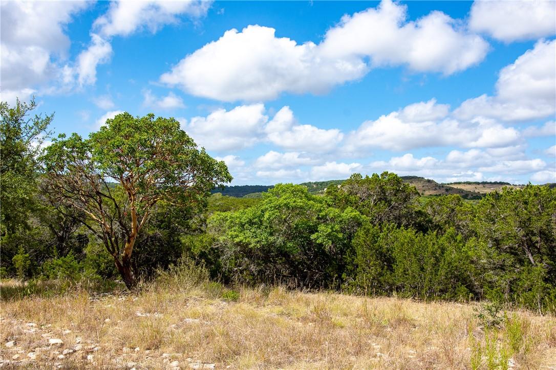 0 Monarch Ranch Rd, Blanco, TX 78606