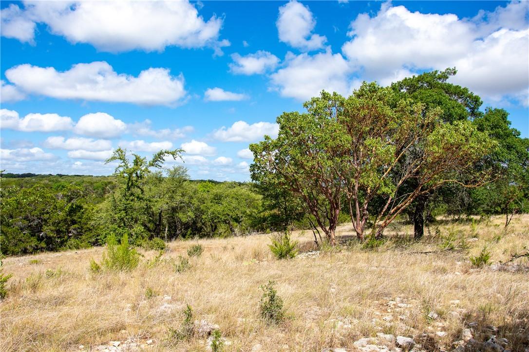 0 Monarch Ranch Rd, Blanco, TX 78606
