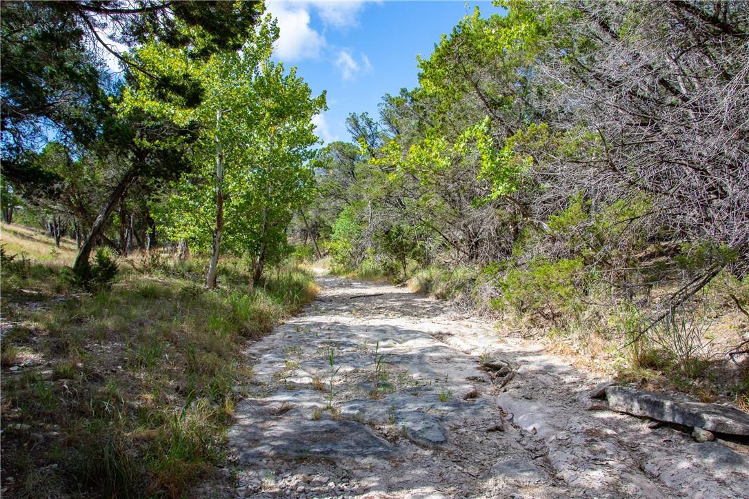 0 Monarch Ranch Rd, Blanco, TX 78606