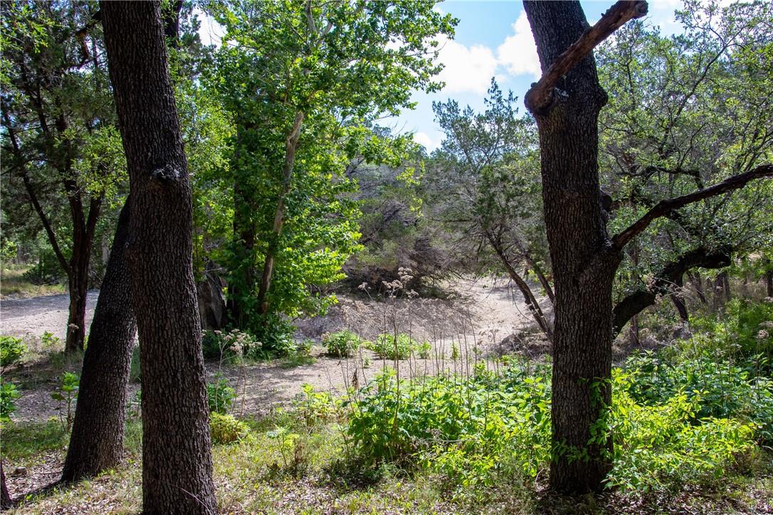 0 Monarch Ranch Rd, Blanco, TX 78606