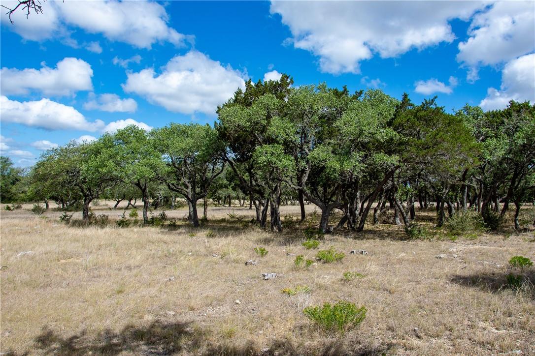 0 Monarch Ranch Rd, Blanco, TX 78606