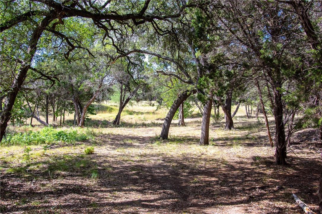 0 Monarch Ranch Rd, Blanco, TX 78606