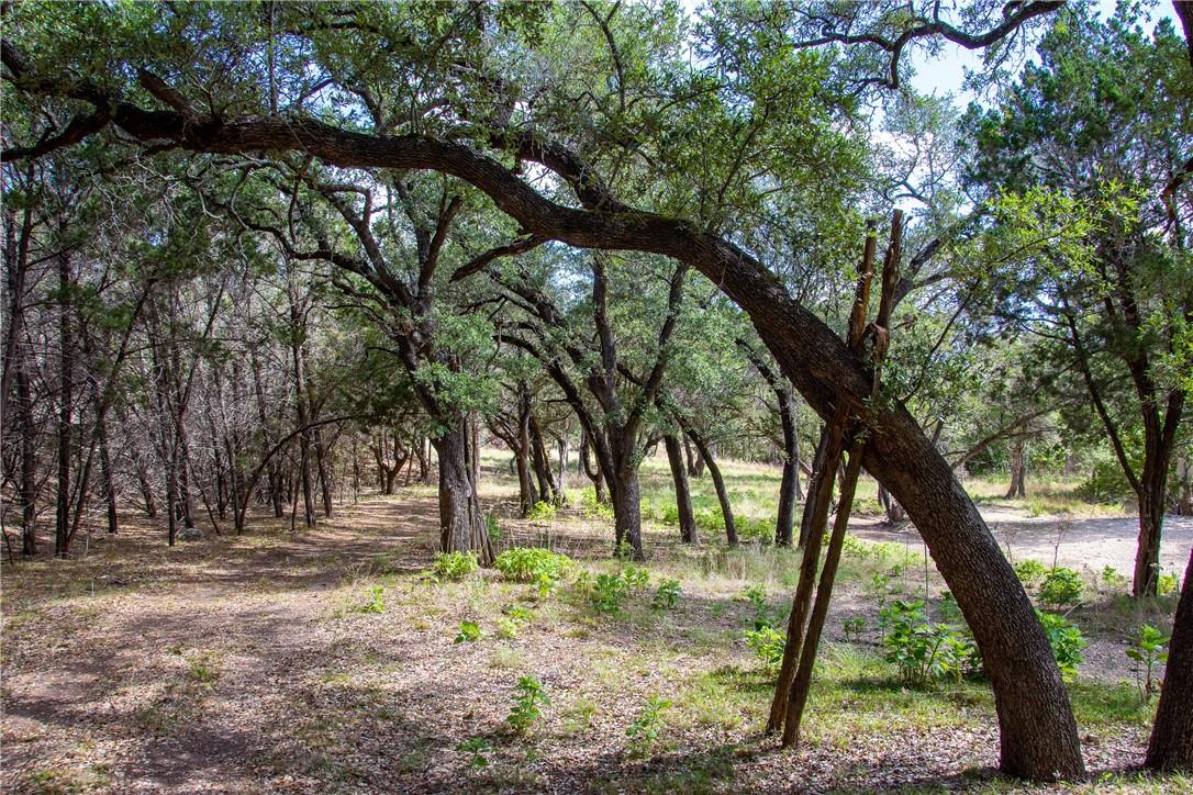 0 Monarch Ranch Rd, Blanco, TX 78606