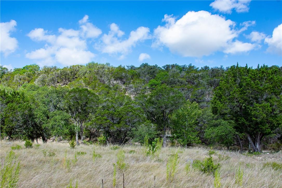 0 Monarch Ranch Rd, Blanco, TX 78606