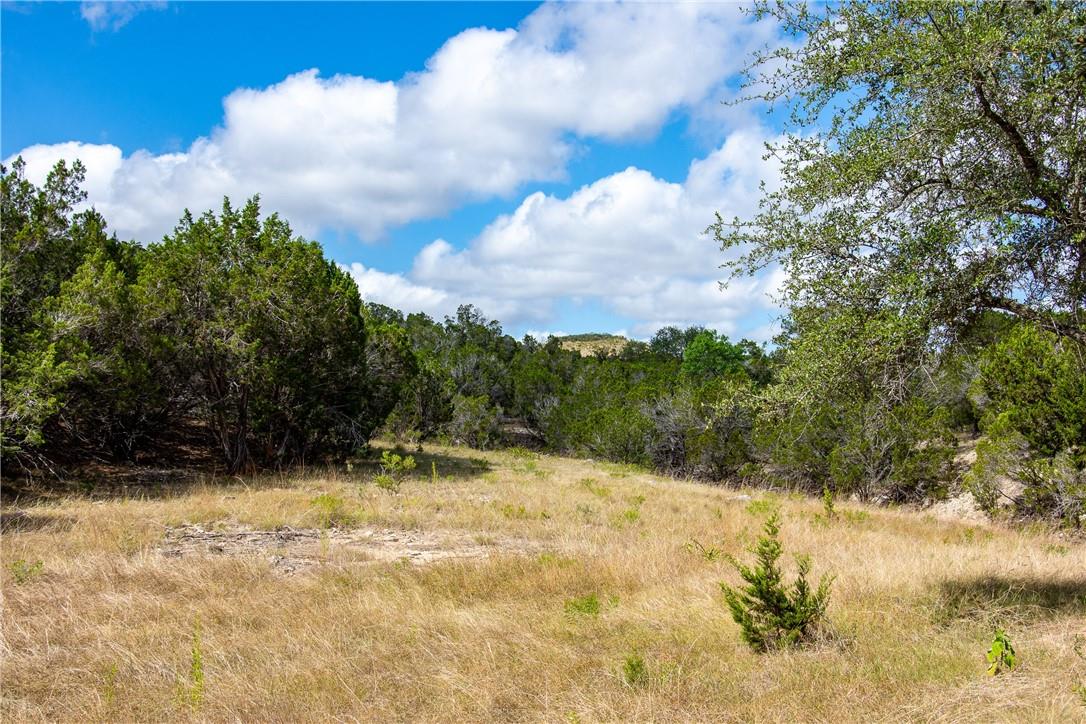 0 Monarch Ranch Rd, Blanco, TX 78606