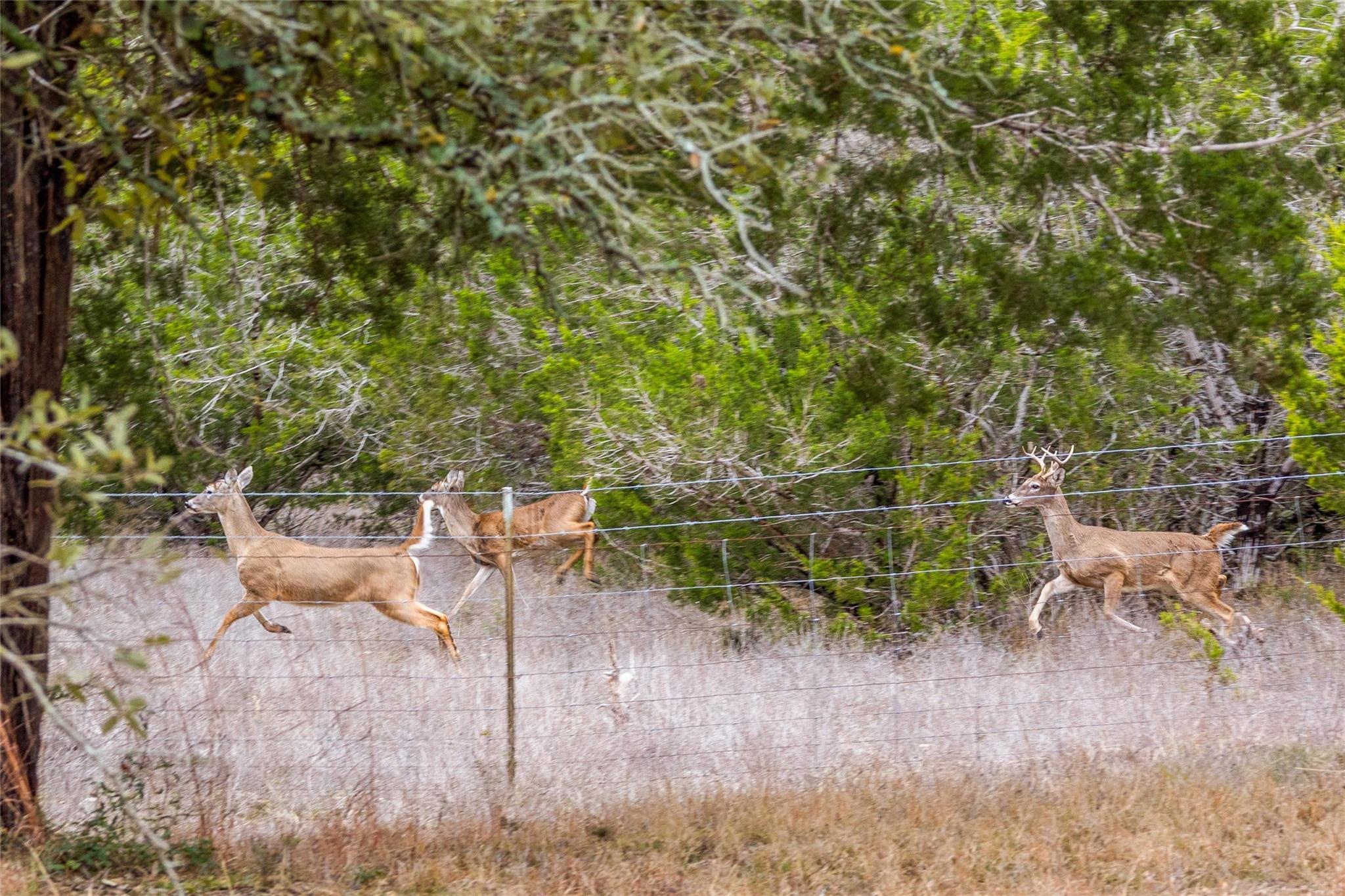 1800 E 290 Highway, Dripping Springs, TX 78620