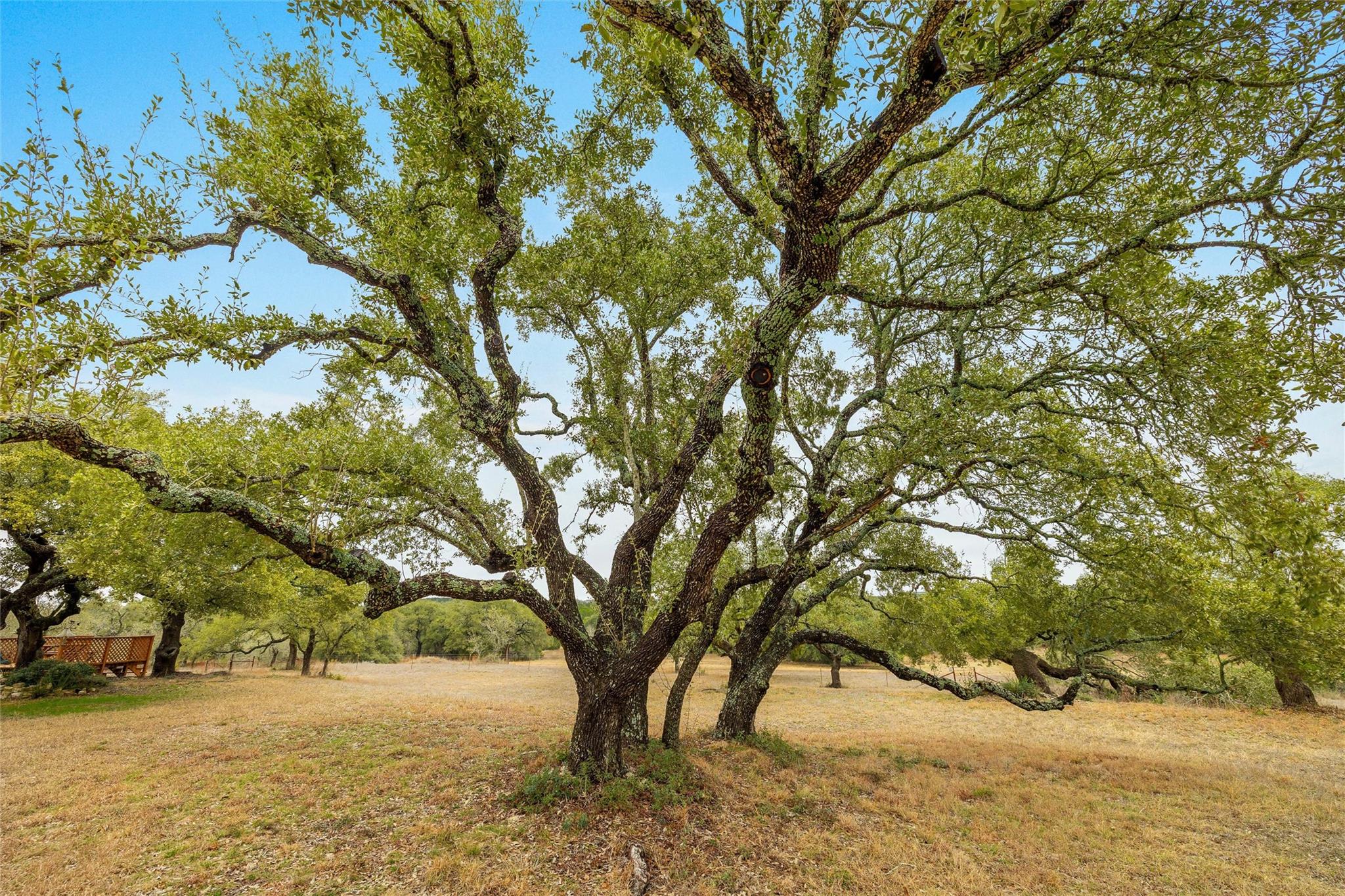 1800 E 290 Highway, Dripping Springs, TX 78620