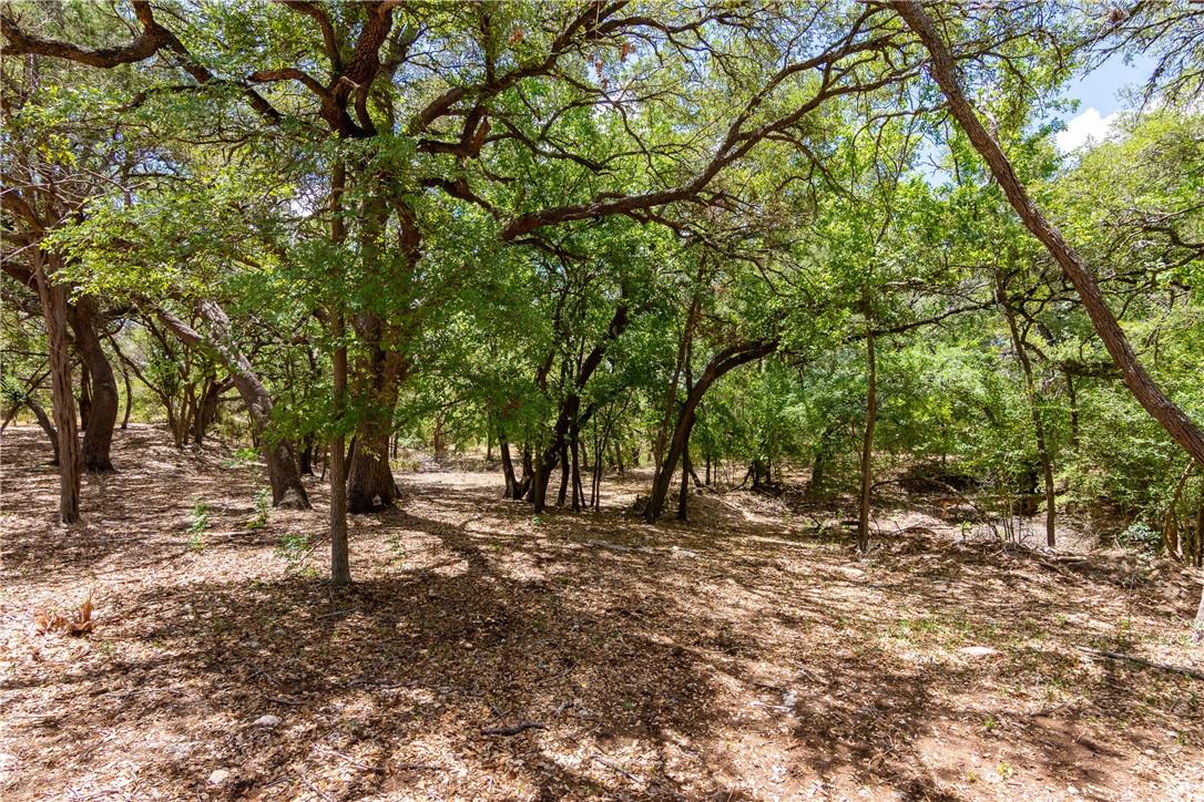 427 Creek Rd, Dripping Springs, TX 78620