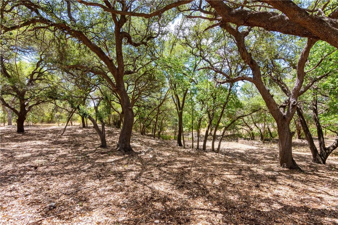 427 Creek Rd, Dripping Springs, TX 78620