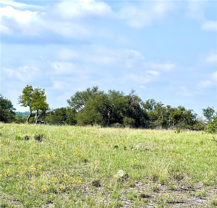 LOT #30 Blaha Oaks Rd, Fredericksburg, TX 78624