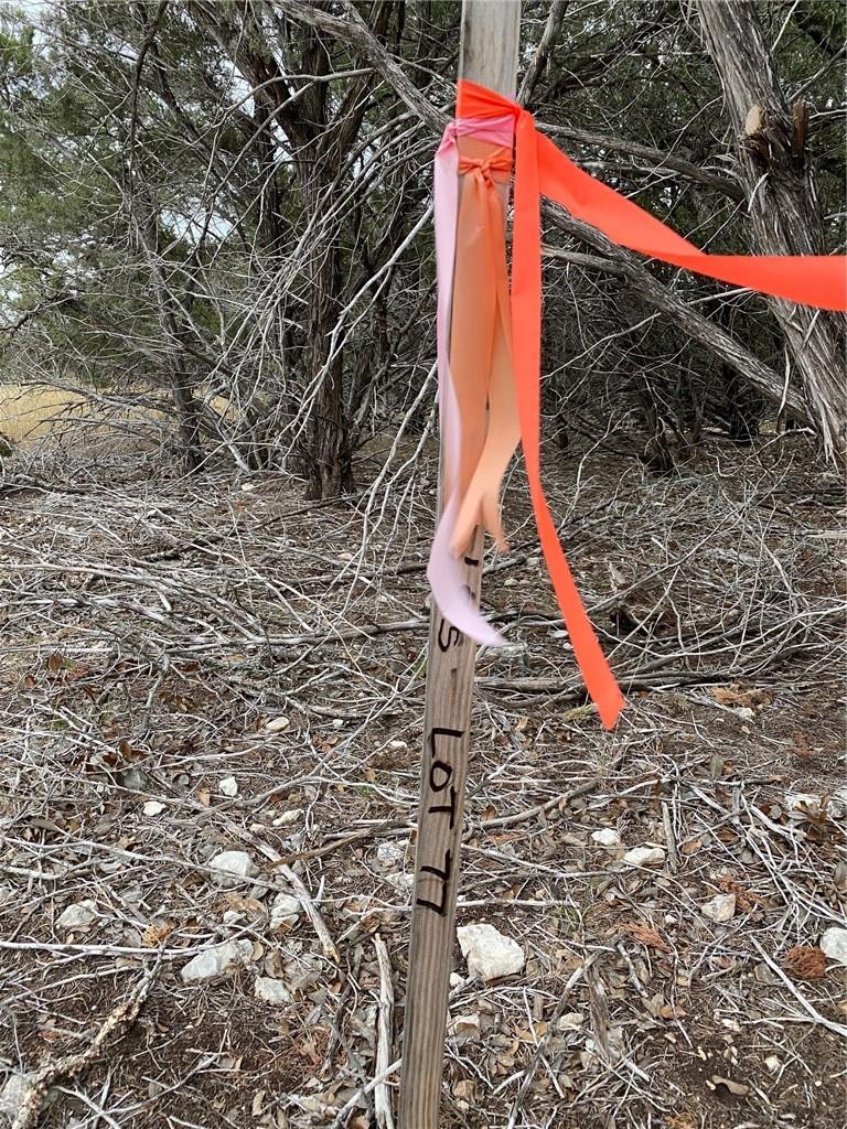 1007 Pristine Trl, Canyon Lake, TX 78133