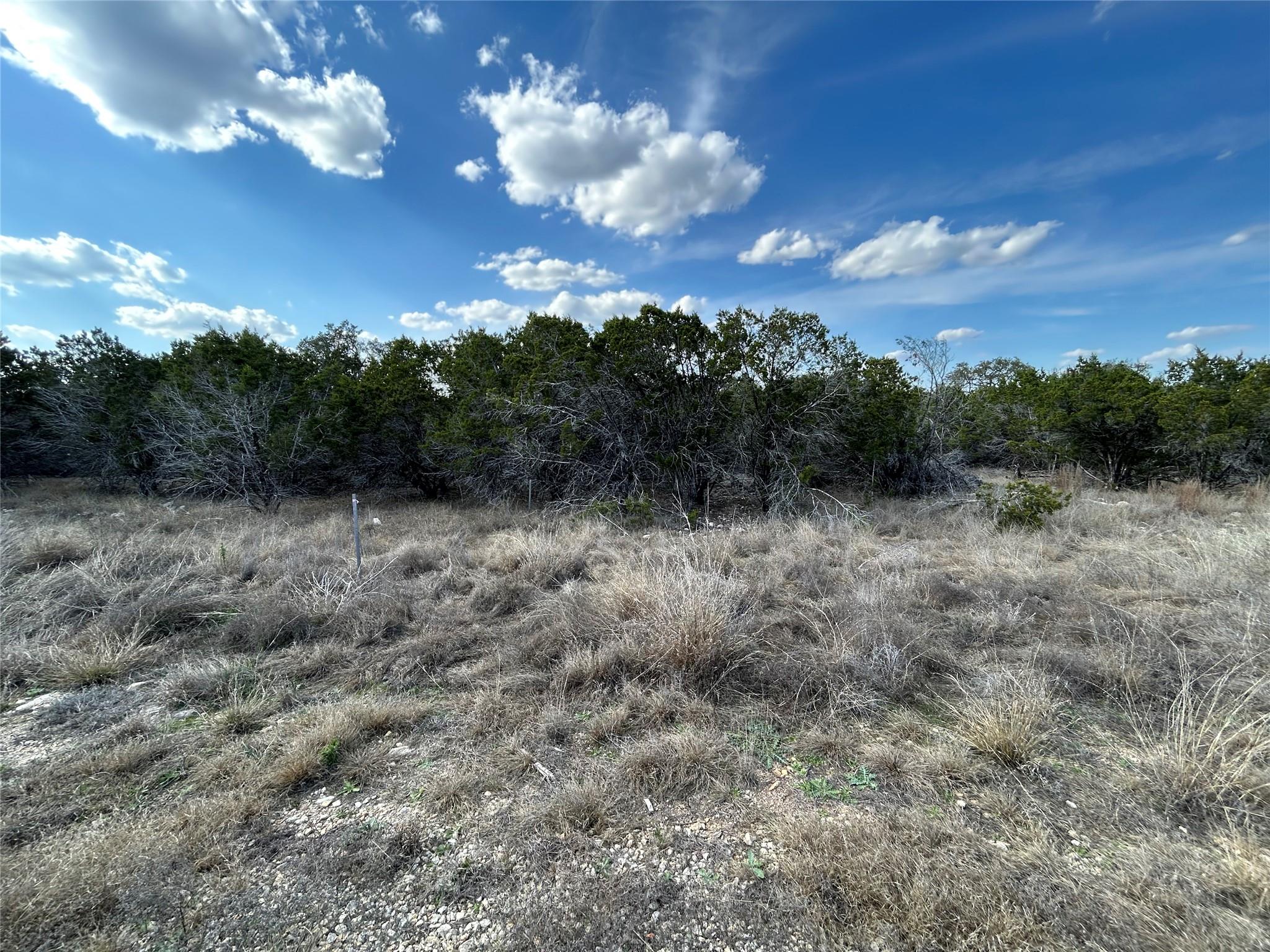 1007 Pristine Trl, Canyon Lake, TX 78133