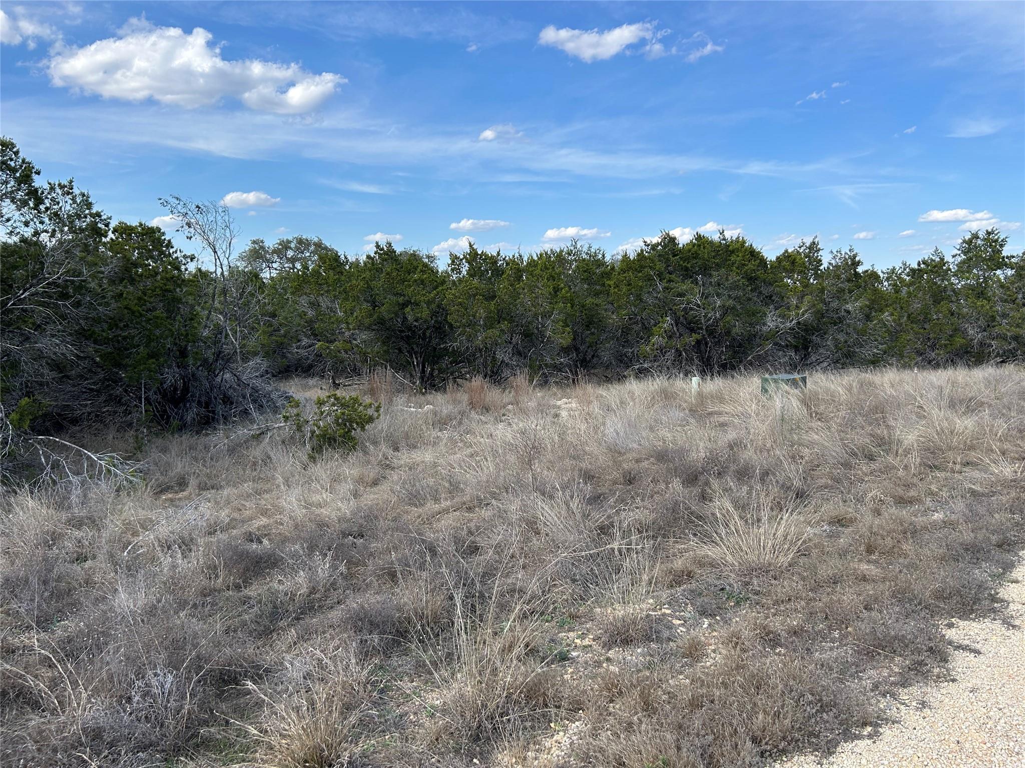 1007 Pristine Trl, Canyon Lake, TX 78133