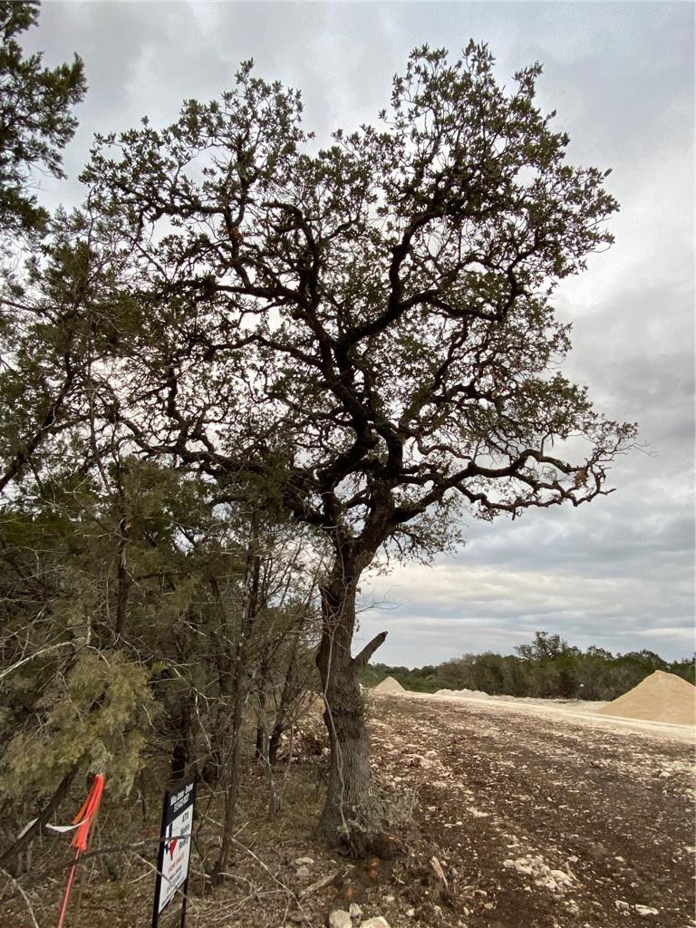 1007 Pristine Trl, Canyon Lake, TX 78133