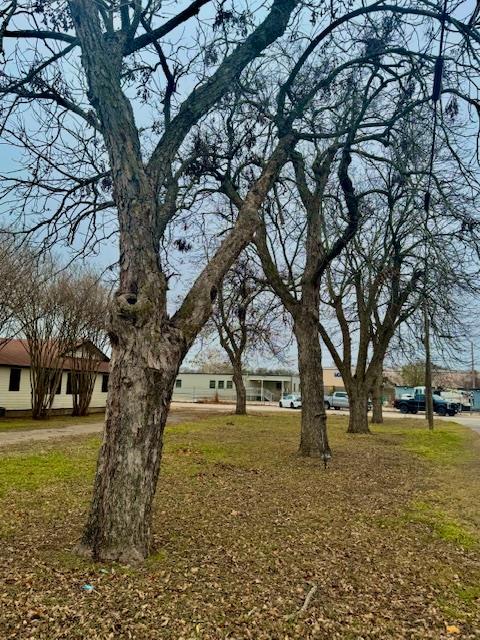 202 NE 2nd St, Smithville, TX 78957