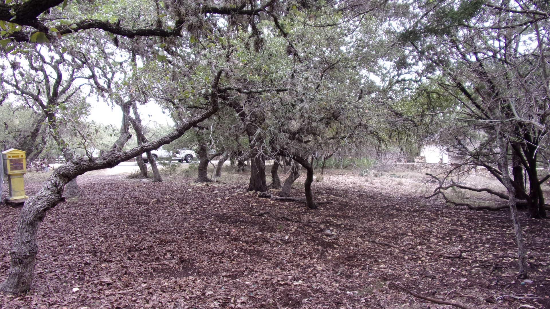 Lot 46 Mountain Wood, Canyon Lake, TX 78133