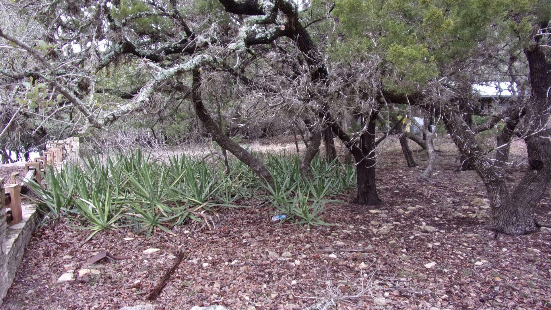 Lot 46 Mountain Wood, Canyon Lake, TX 78133