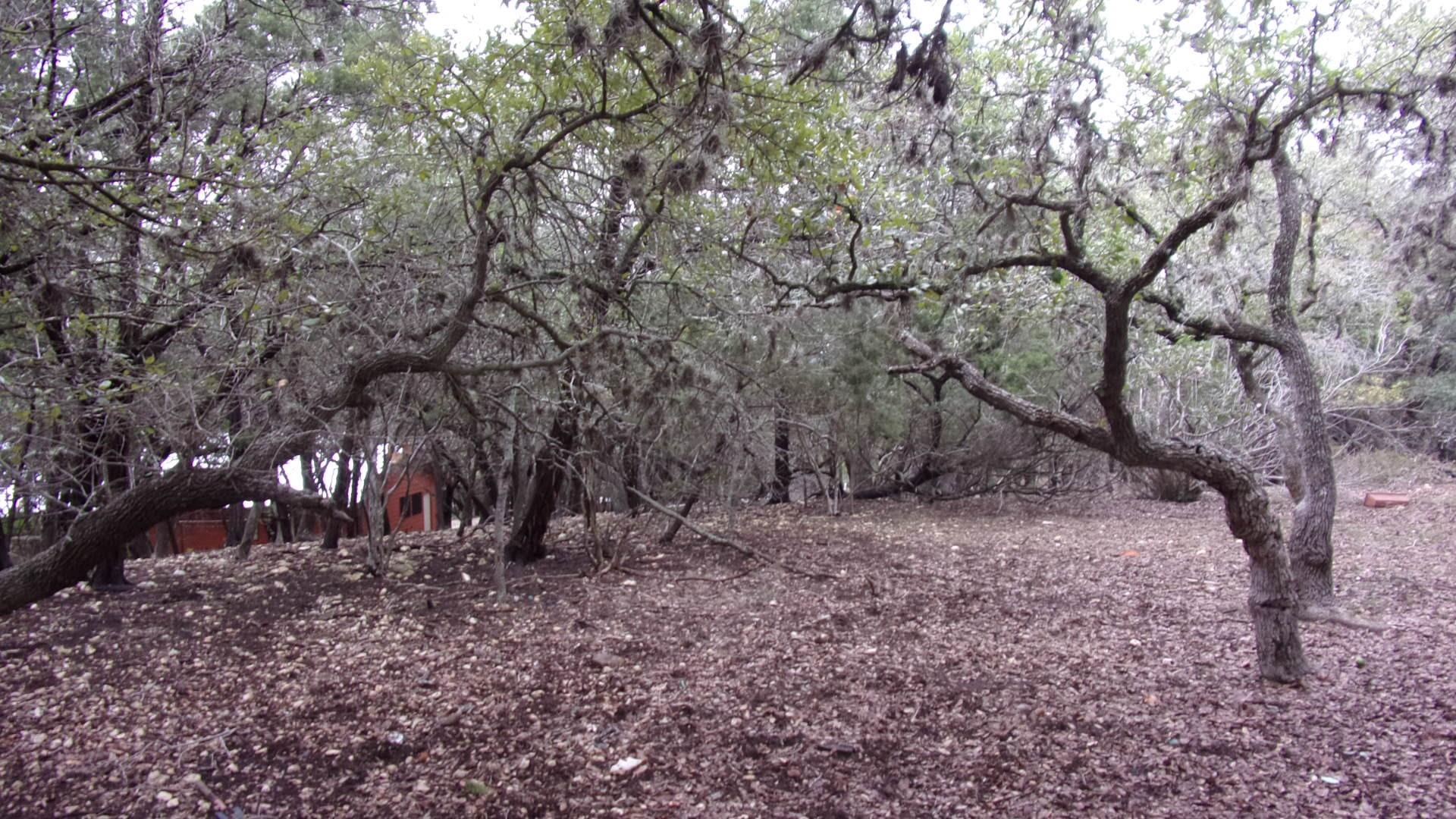 Lot 46 Mountain Wood, Canyon Lake, TX 78133