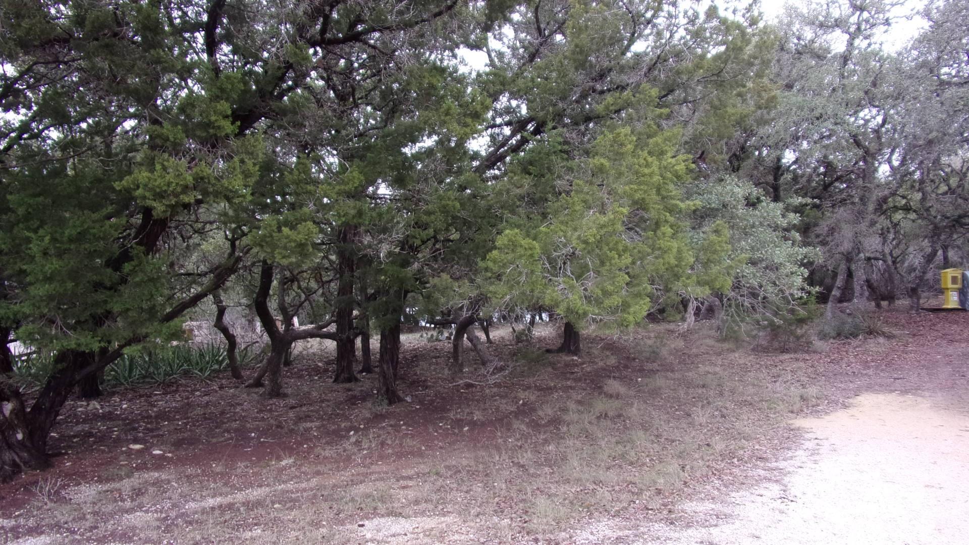 Lot 46 Mountain Wood, Canyon Lake, TX 78133