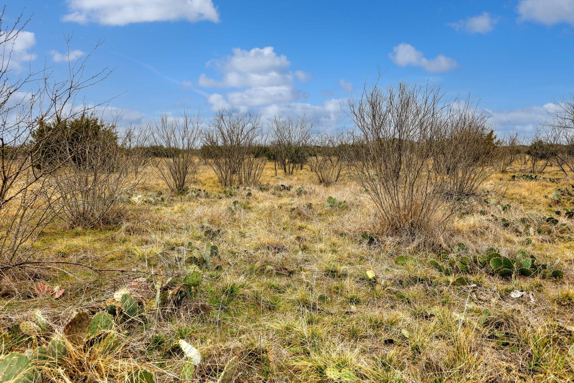 4220 W US Hwy 190, Lometa, TX 76853