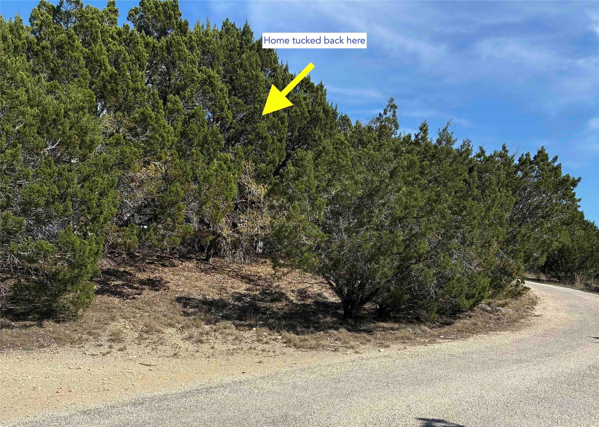 199 Harmony Wood Ln, Dripping Springs, TX 78620