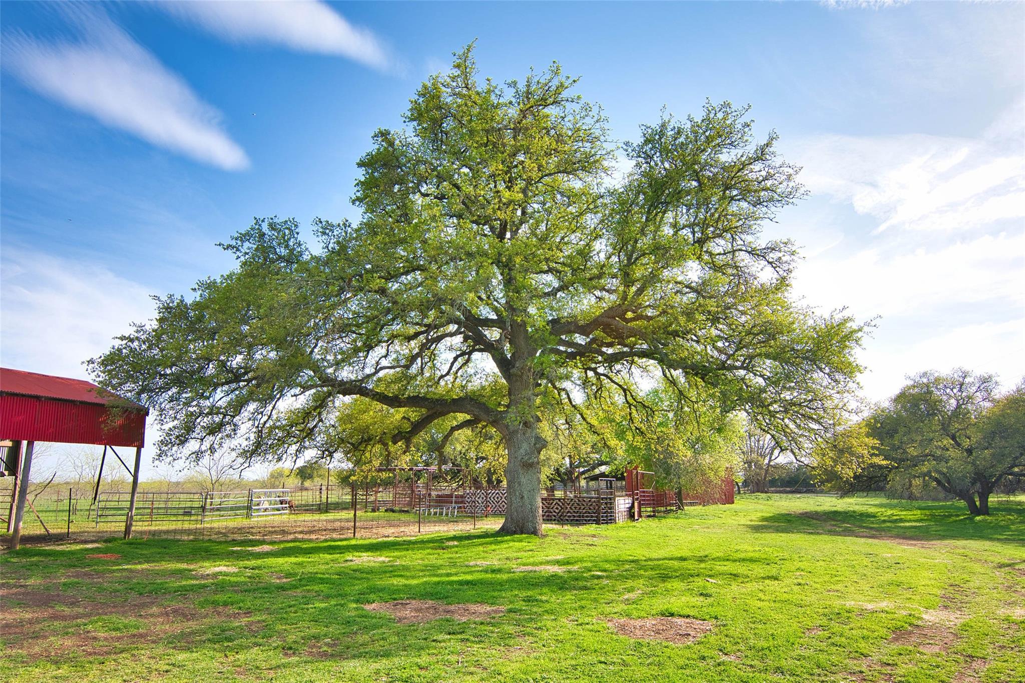 2350 CR 228, Florence, TX 76527