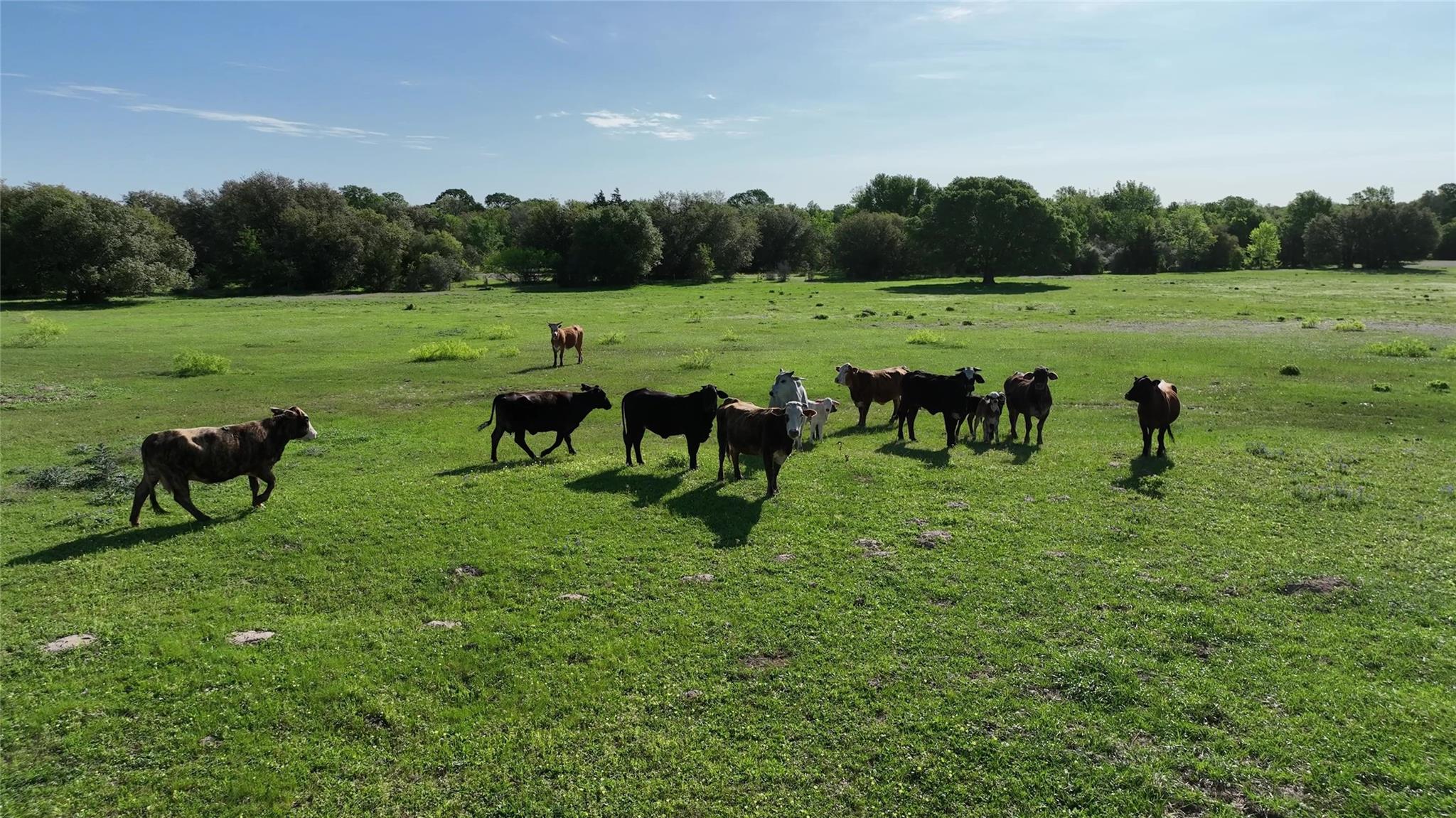 0 County Road 127, Giddings, TX 78942