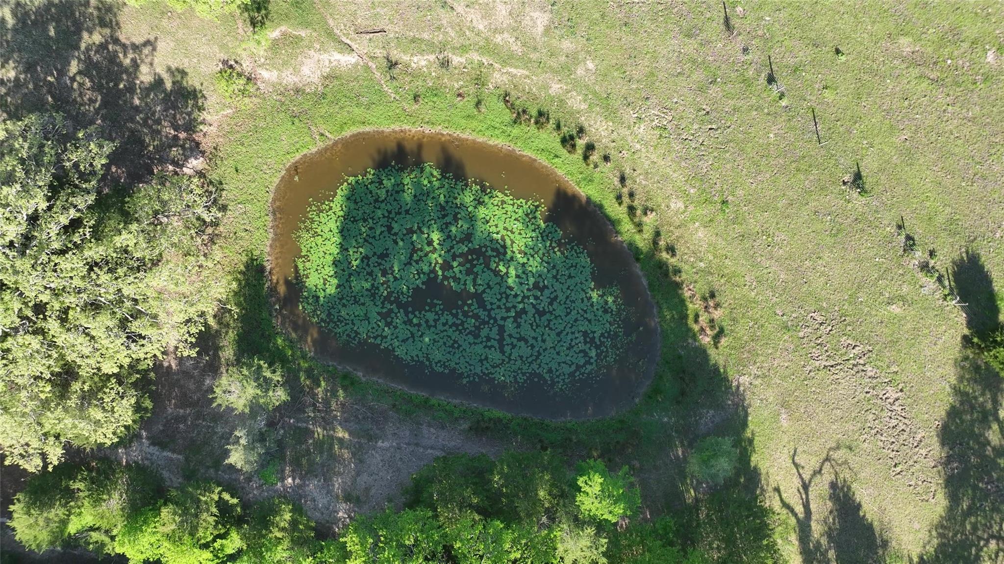 0 County Road 127, Giddings, TX 78942