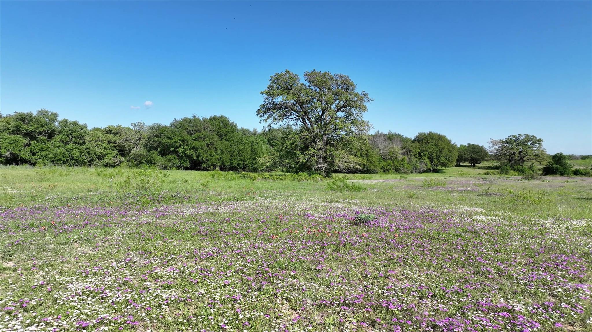 00 County Road 127, Ledbetter, TX 78946