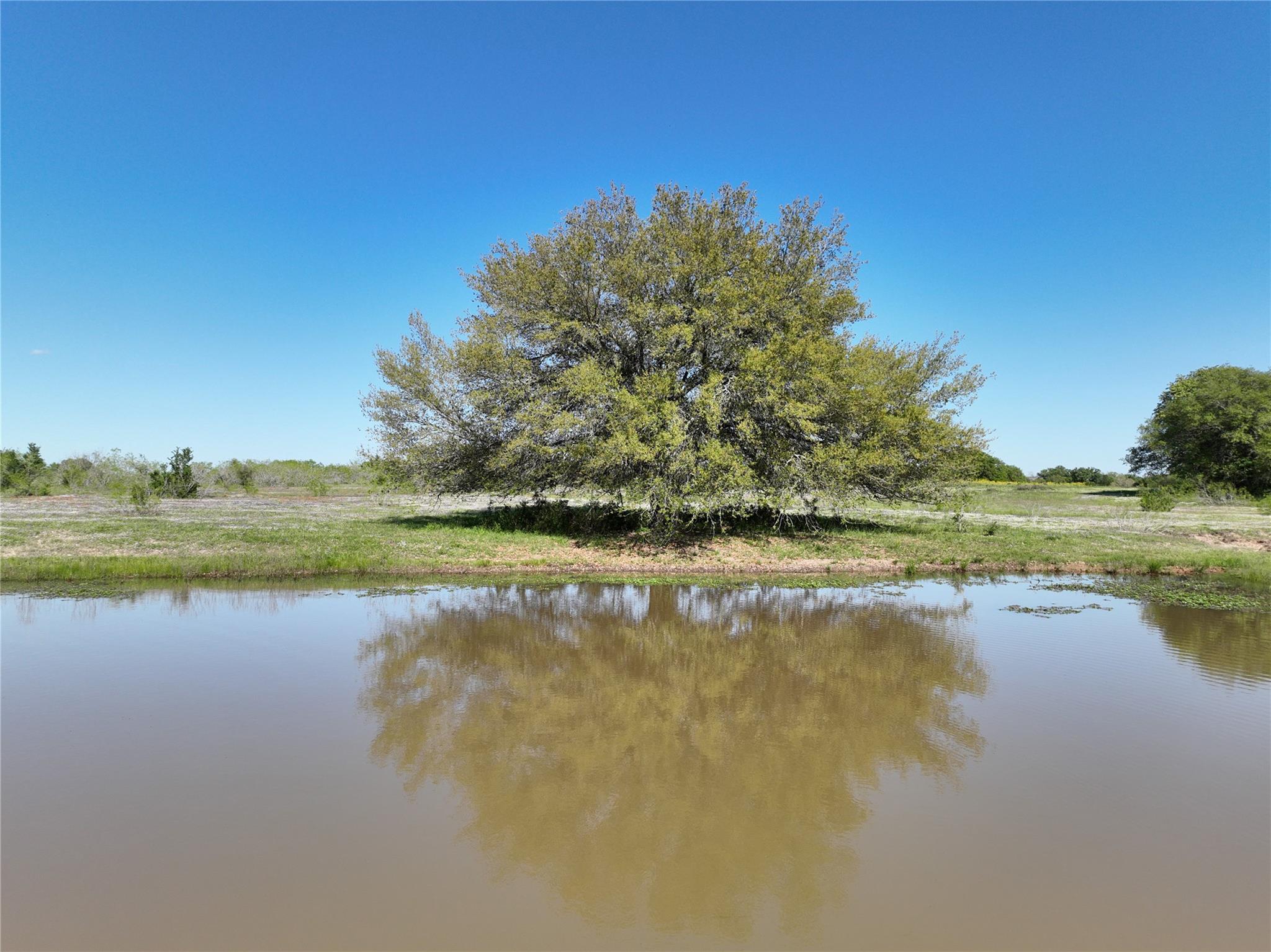 00 County Road 127, Ledbetter, TX 78946