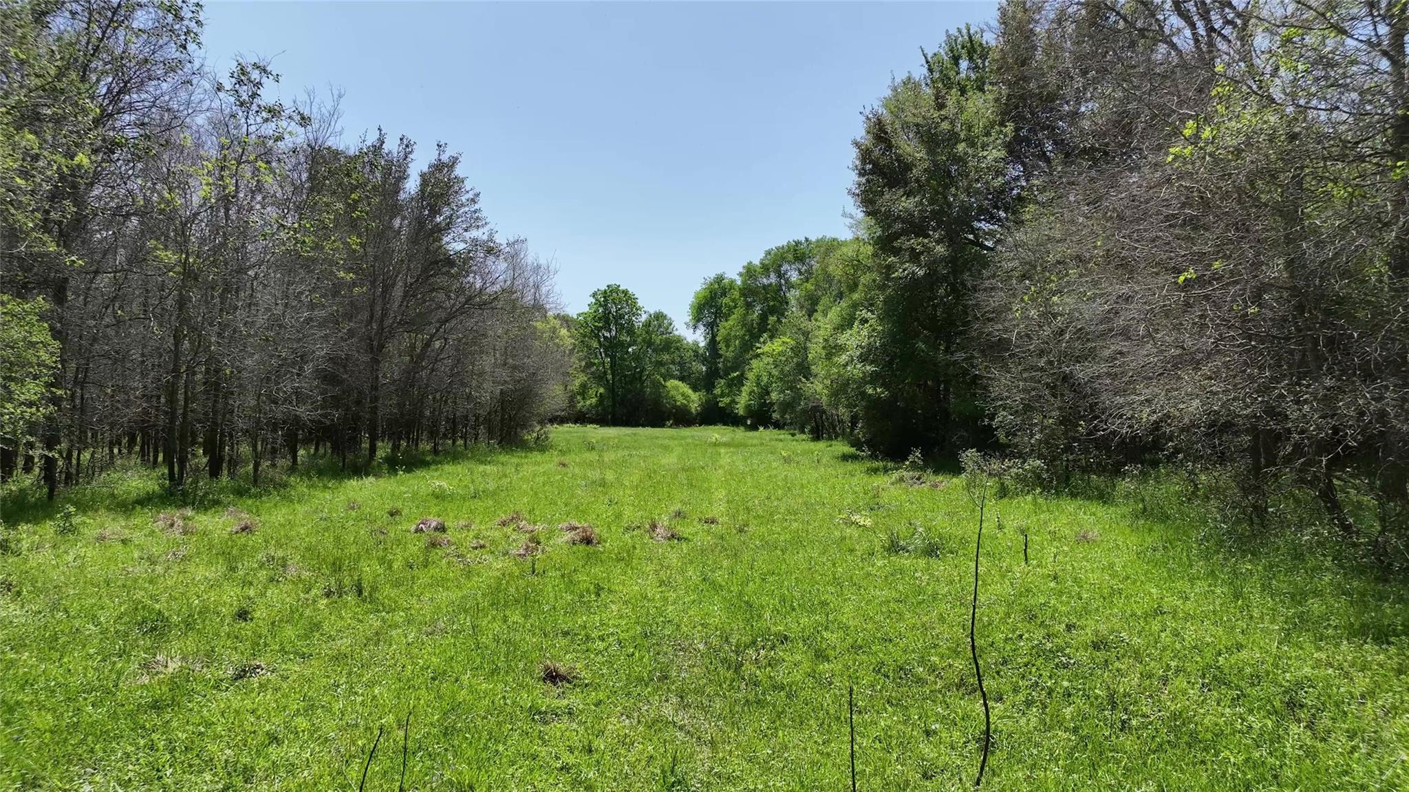 0 County Road 119, Ledbetter, TX 78946