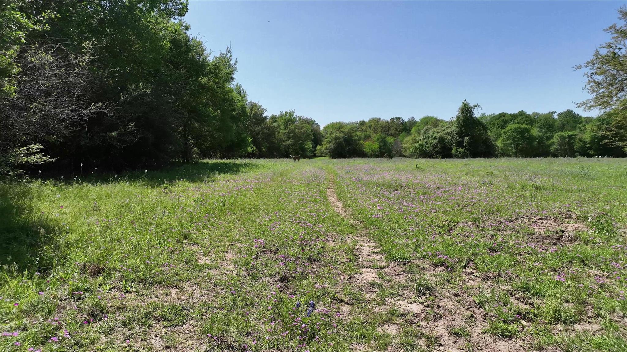 0 County Road 119, Ledbetter, TX 78946