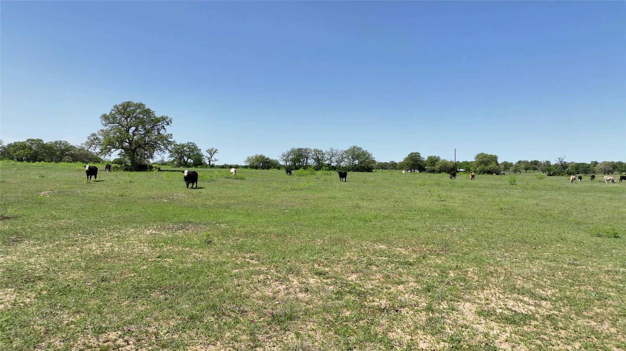 0 County Road 119, Ledbetter, TX 78946