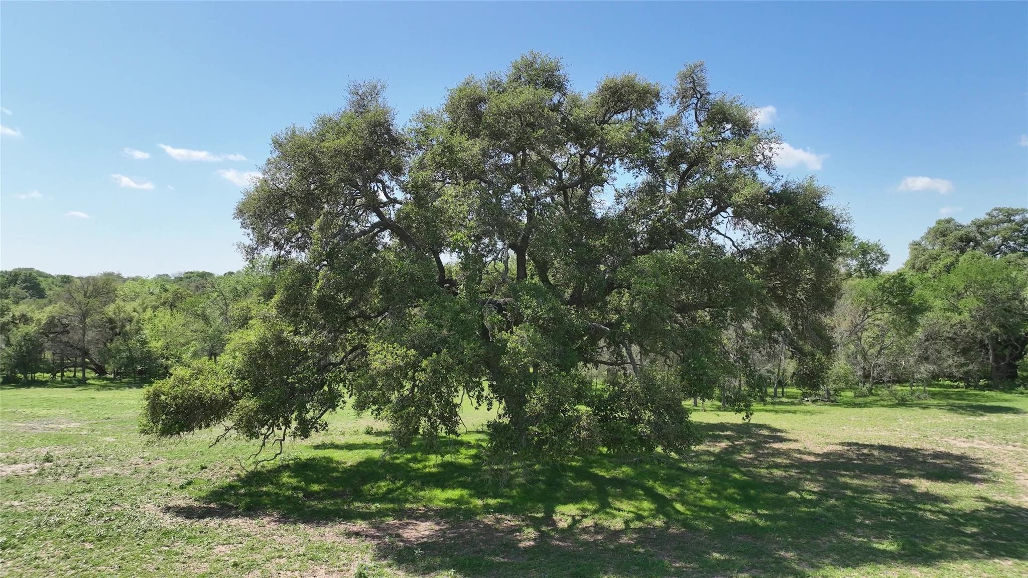 00 County Road 119, Ledbetter, TX 78946