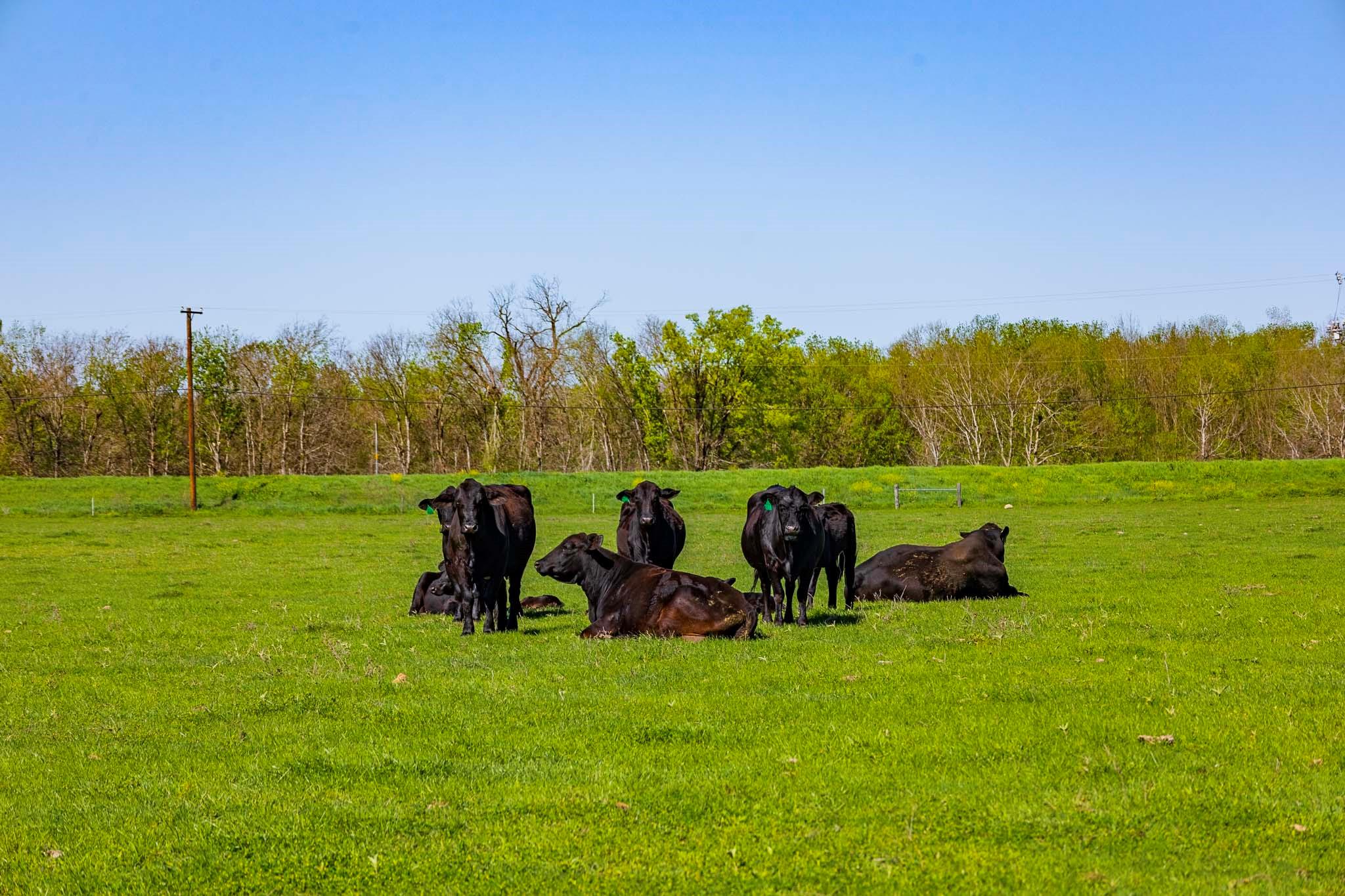 15500 Fm 1660 # South, Taylor, TX 76574