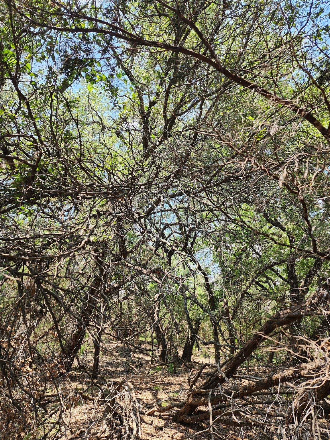 21304 Highland Lake Dr, Lago Vista, TX 78645