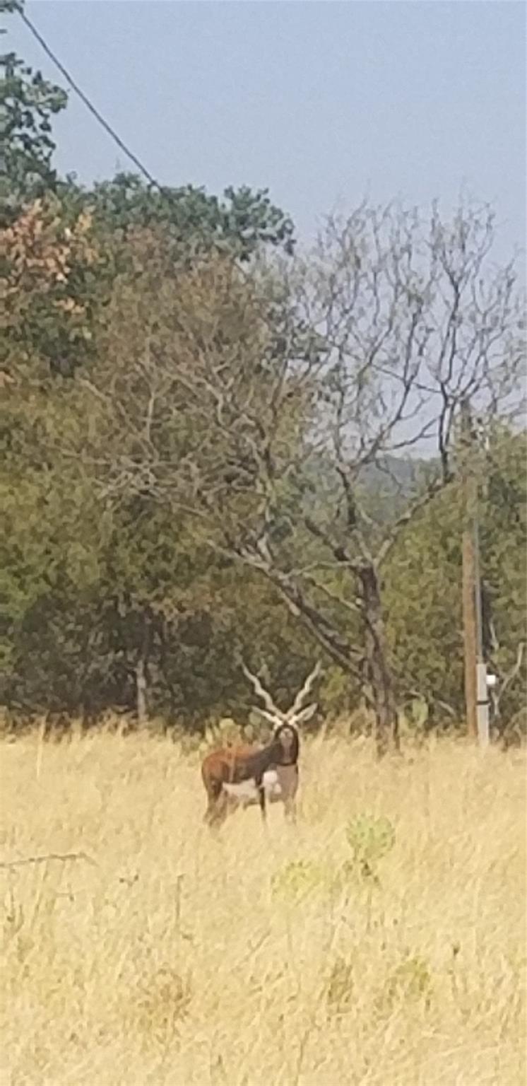 Lot 148 High Point Dr, Kempner, TX 76539