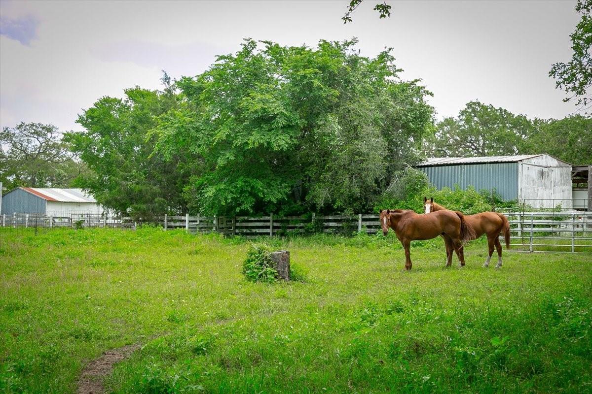 1890 Sandy Fork Rd, Harwood, TX 78632