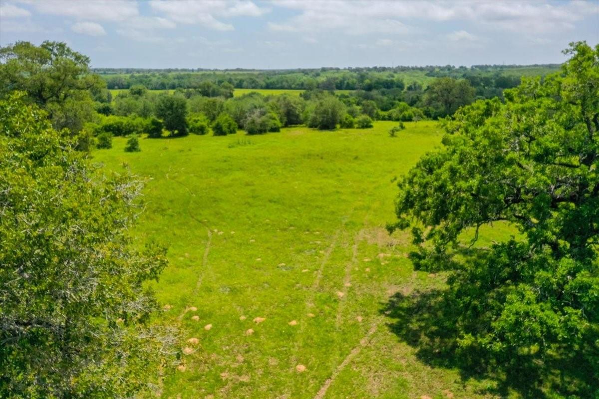 1890 Sandy Fork Rd, Harwood, TX 78632