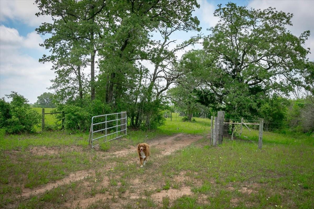 1890 Sandy Fork Rd, Harwood, TX 78632