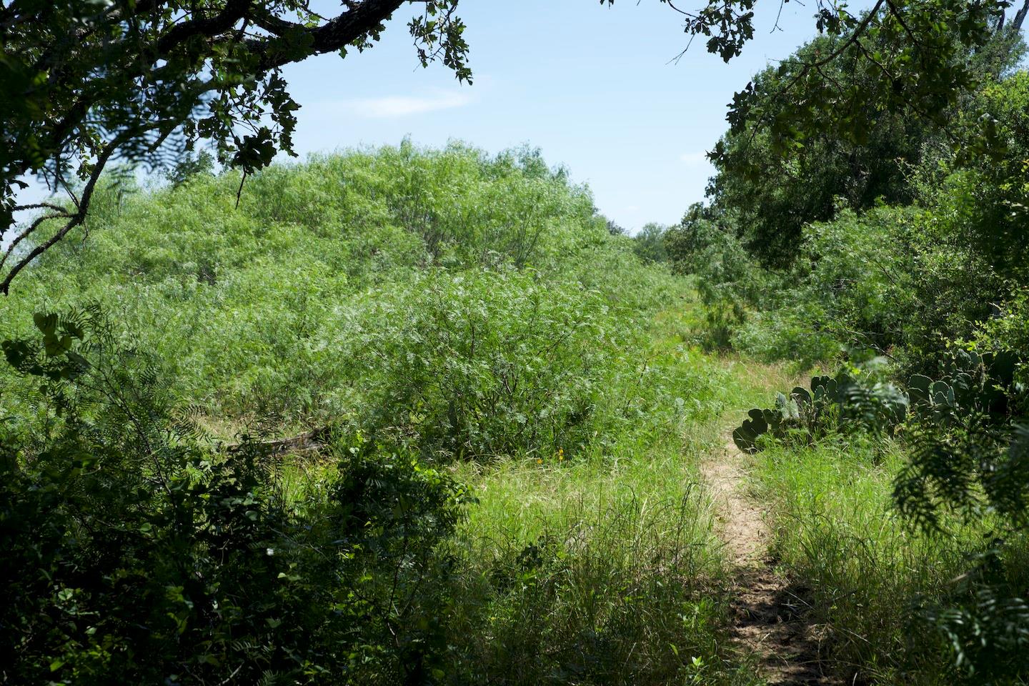 TBD Taylorsville Road Rd, Red Rock, TX 78662